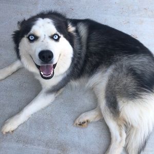 Meet your Posher, Sandra